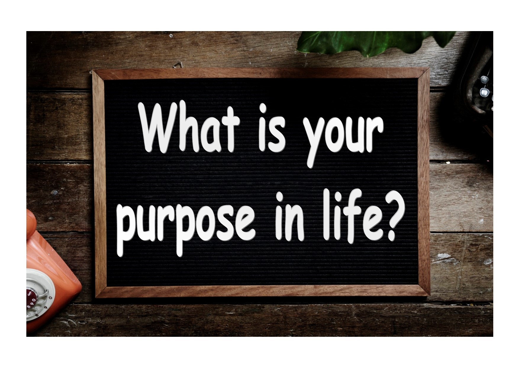 WHAT IS YOUR PURPOSE IN LIFE?